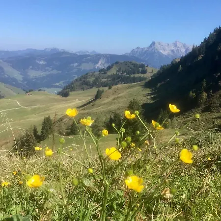 Metzgerwirt Otel Kirchberg in Tirol