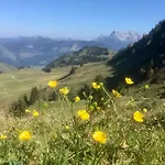 Metzgerwirt Otel Kirchberg in Tirol