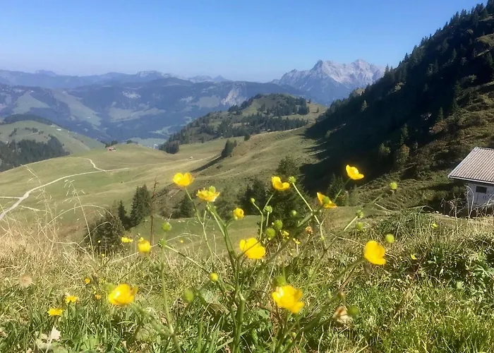 Metzgerwirt Hotel Kirchberg in Tirol